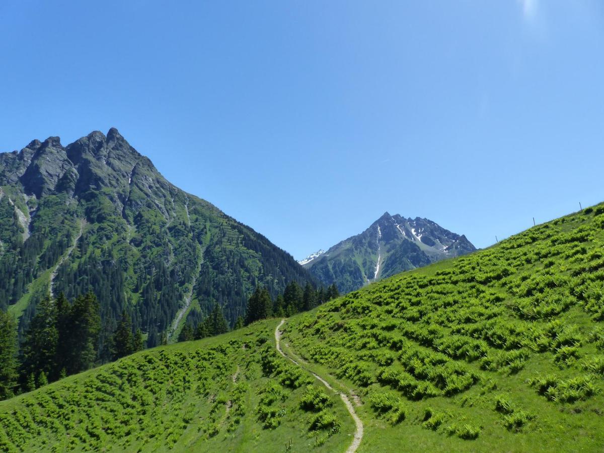 גרגלן Alpinresortmontafon Garni מראה חיצוני תמונה