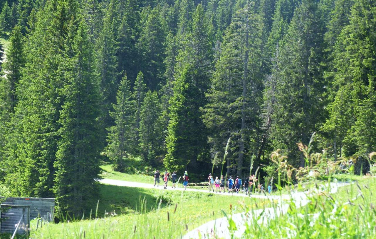 גרגלן Alpinresortmontafon Garni מראה חיצוני תמונה
